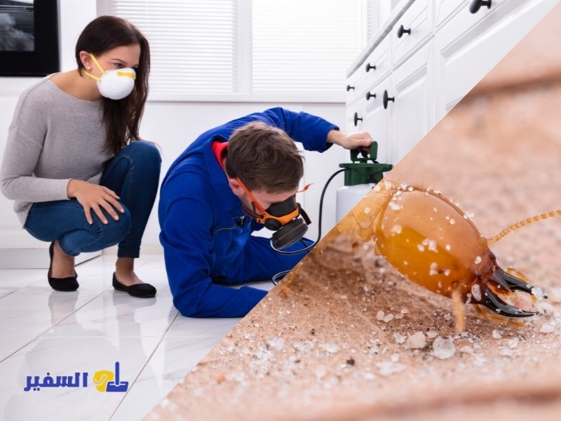 شركة مكافحة العته بجدة 1 شركة مكافحة العته بجدة