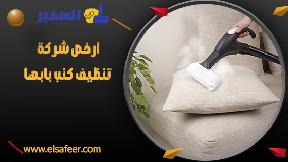 ارخص شركة تنظيف كنب بابها