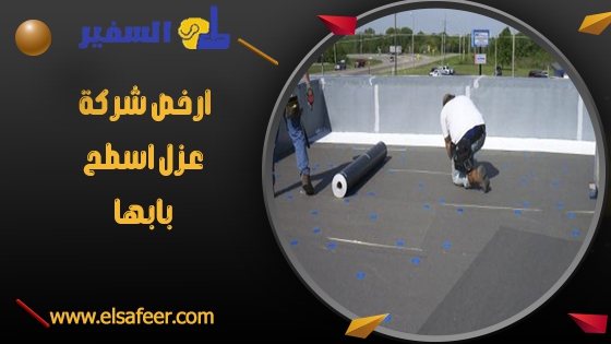 ارخص شركة عزل اسطح بابها ارخص شركة عزل اسطح بابها