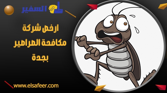 ارخص شركة مكافحة الصراصير بجدة