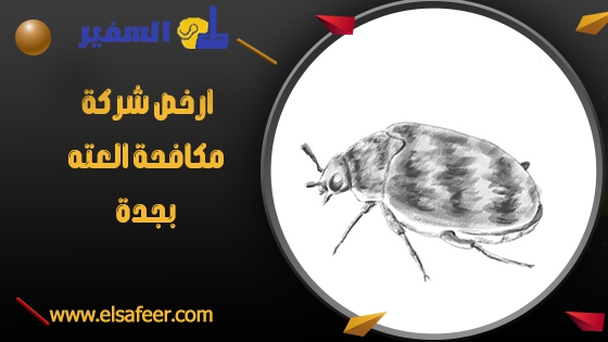 ارخص شركة مكافحة العته بجدة