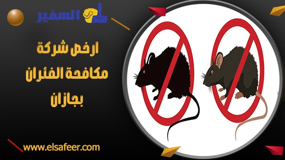 ارخص شركة مكافحة الفئران بجازان ارخص شركة مكافحة الفئران بجازان