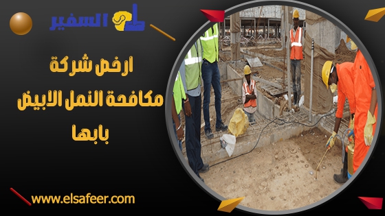 ارخص شركة مكافحة النمل الابيض بابها ارخص شركة مكافحة النمل الابيض بابها