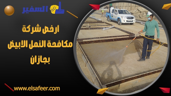 ارخص شركة مكافحة النمل الابيض بجازان ارخص شركة مكافحة النمل الابيض بجازان