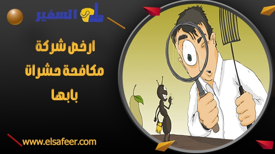 ارخص شركة مكافحة حشرات بابها