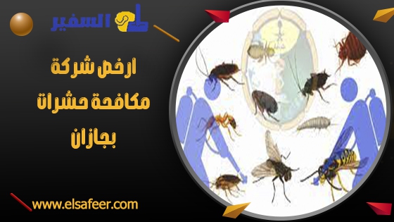 ارخص شركة مكافحة حشرات بجازان ارخص شركة مكافحة حشرات بجازان