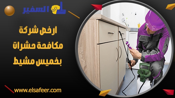 شركة مكافحة حشرات بخميس مشيط 3 ارخص شركة مكافحة حشرات بخميس مشيط