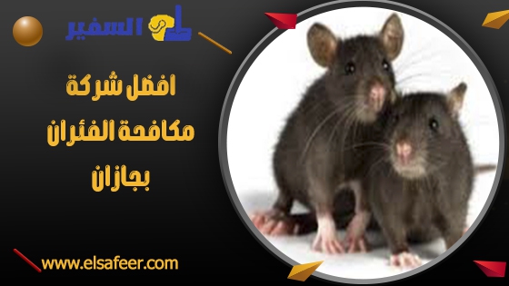 افضل شركة مكافحة الفئران بجازان افضل شركة مكافحة الفئران بجازان