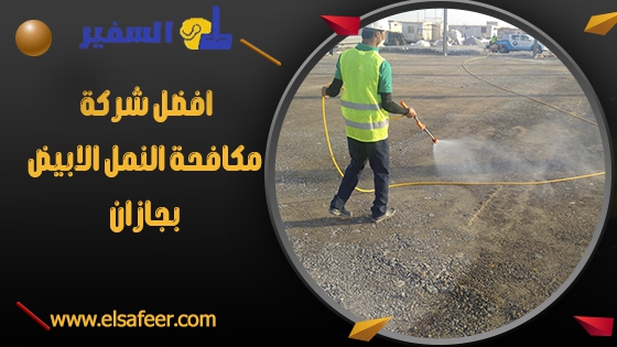 افضل شركة مكافحة النمل الابيض بجازان افضل شركة مكافحة النمل الابيض بجازان