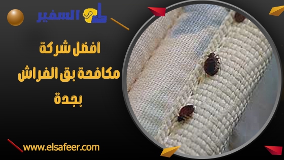 افضل شركة مكافحة بق الفراش بجدة