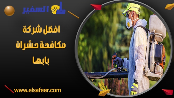 افضل شركة مكافحة حشرات بابها افضل شركة مكافحة حشرات بابها