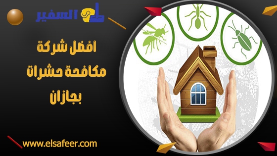 افضل شركة مكافحة حشرات بجازان افضل شركة مكافحة حشرات بجازان