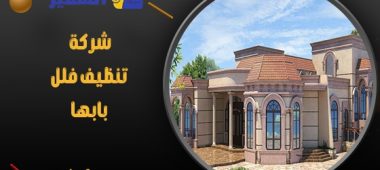 شركة تنظيف فلل بابها