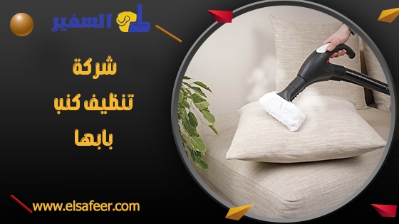 شركة تنظيف كنب بابها