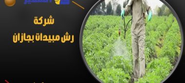 شركة رش مبيدات بجازان