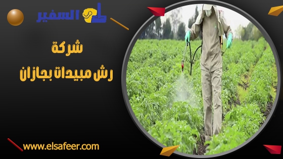 شركة رش مبيدات بجازان 1 شركة رش مبيدات بجازان