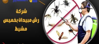 شركة رش مبيدات بخميس مشيط