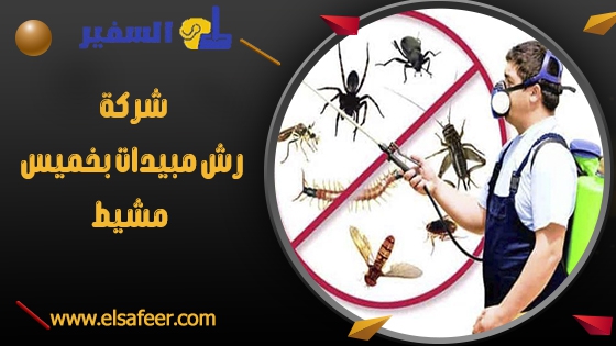 شركة رش مبيدات بخميس مشيط 1 شركة رش مبيدات بخميس مشيط