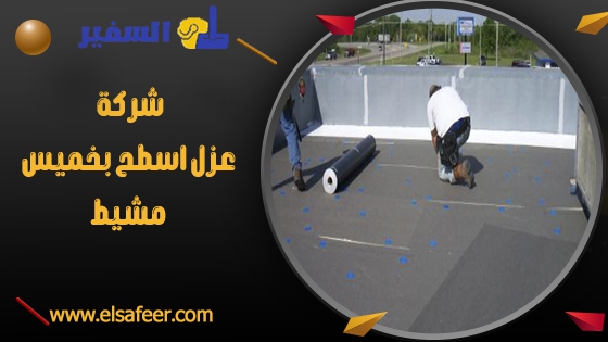 شركة عزل اسطح بخميس مشيط 1 شركة عزل اسطح بخميس مشيط