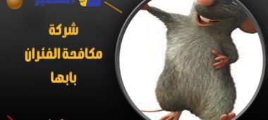 شركة مكافحة الفئران بابها