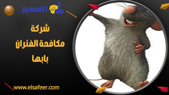 شركة مكافحة الفئران بابها 1 شركة مكافحة الفئران بابها