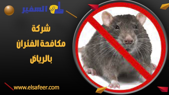 شركة مكافحة الفئران بالرياض شركة مكافحة الفئران بالرياض