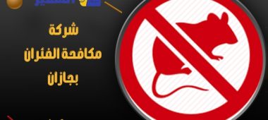 شركة مكافحة الفئران بجازان