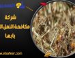 شركة مكافحة النمل الابيض بابها