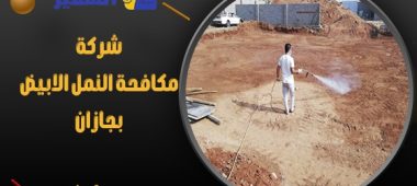 شركة مكافحة النمل الابيض بجازان