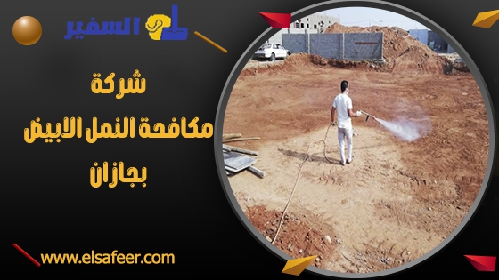 شركة مكافحة النمل الابيض بجازان 1 شركة مكافحة النمل الابيض بجازان
