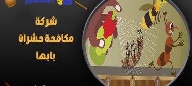 شركة مكافحة حشرات بابها