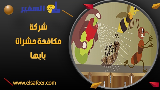 شركة مكافحة حشرات بابها 1 شركة مكافحة حشرات بابها