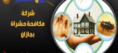 شركة مكافحة حشرات بجازان