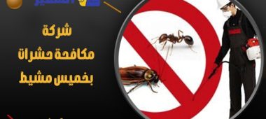 شركة مكافحة حشرات بخميس مشيط
