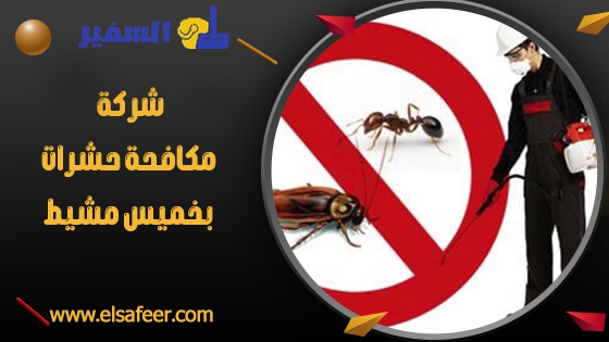 شركة مكافحة حشرات بخميس مشيط 1 شركة مكافحة حشرات بخميس مشيط
